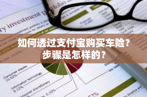 如何透过支付宝购买车险？步骤是怎样的？