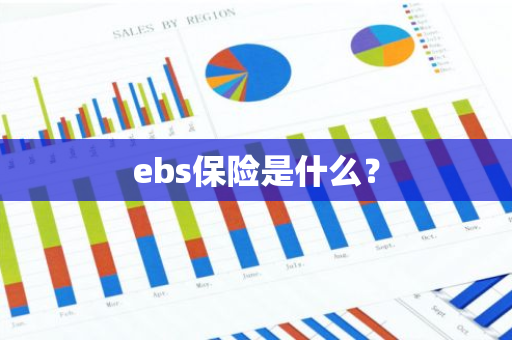 ebs保险是什么？