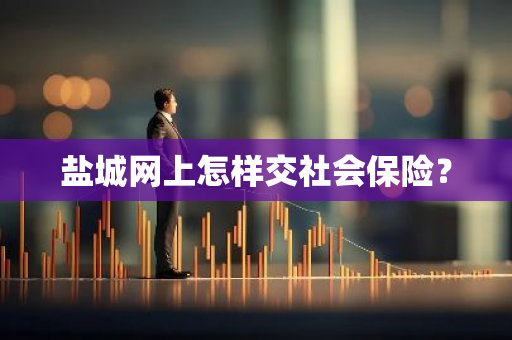 盐城网上怎样交社会保险？