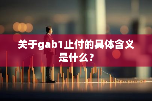 关于gab1止付的具体含义是什么？