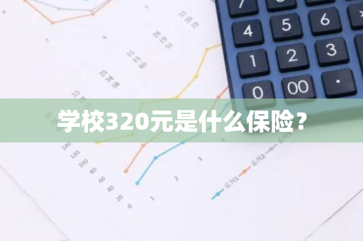 学校320元是什么保险？