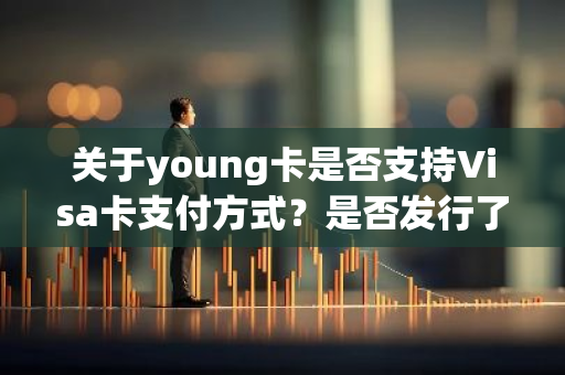 关于young卡是否支持Visa卡支付方式？是否发行了Visa卡版本？