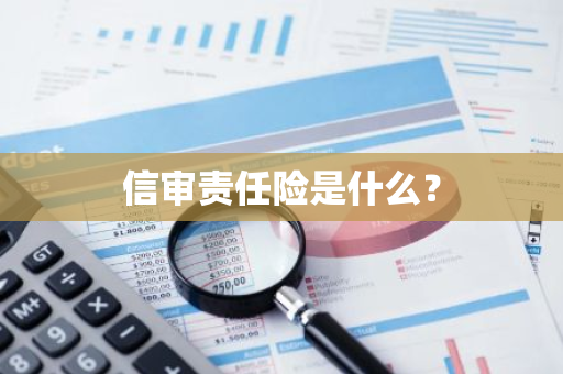 信审责任险是什么？