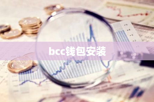 bcc钱包安装