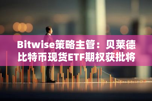 Bitwise策略主管：贝莱德比特币现货ETF期权获批将使比特币爆发式上涨