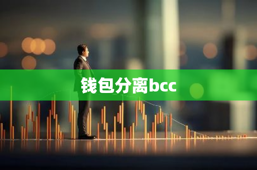 钱包分离bcc