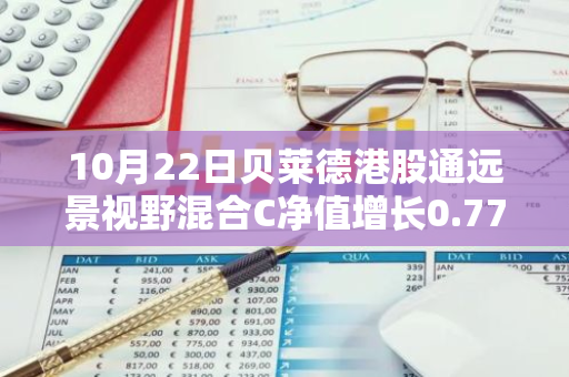 10月22日贝莱德港股通远景视野混合C净值增长0.77%，近1个月累计上涨9.85%