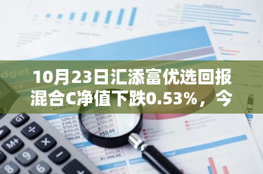 10月23日汇添富优选回报混合C净值下跌0.53%，今年来累计上涨7.27%