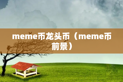 meme币龙头币（meme币前景）