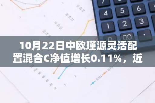 10月22日中欧瑾源灵活配置混合C净值增长0.11%，近1个月累计上涨3.55%