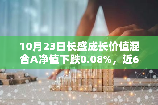 10月23日长盛成长价值混合A净值下跌0.08%，近6个月累计上涨2.31%