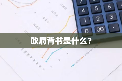 政府背书是什么？