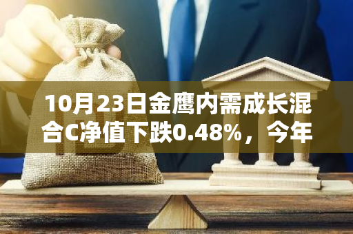 10月23日金鹰内需成长混合C净值下跌0.48%，今年来累计下跌10.3%