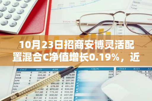 10月23日招商安博灵活配置混合C净值增长0.19%，近1个月累计上涨14.22%