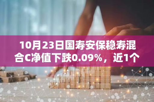 10月23日国寿安保稳寿混合C净值下跌0.09%，近1个月累计上涨3.81%