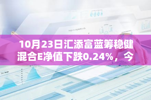 10月23日汇添富蓝筹稳健混合E净值下跌0.24%，今年来累计上涨3.09%