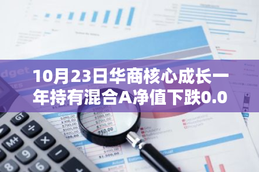 10月23日华商核心成长一年持有混合A净值下跌0.02%，今年来累计下跌26.24%