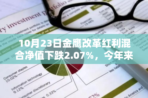 10月23日金鹰改革红利混合净值下跌2.07%，今年来累计上涨4.85%