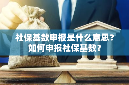 社保基数申报是什么意思？如何申报社保基数？