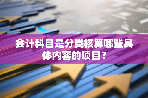 会计科目是分类核算哪些具体内容的项目？