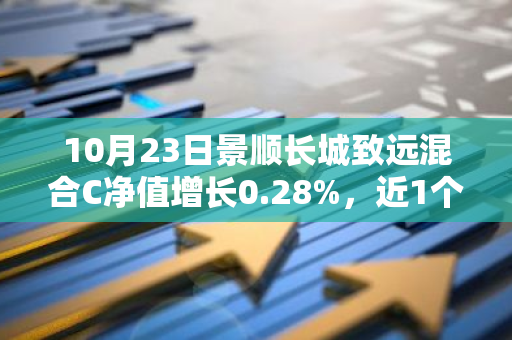 10月23日景顺长城致远混合C净值增长0.28%，近1个月累计上涨29.26%