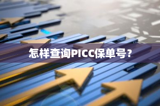 怎样查询PICC保单号？