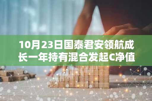 10月23日国泰君安领航成长一年持有混合发起C净值下跌0.70%，今年来累计上涨7.57%