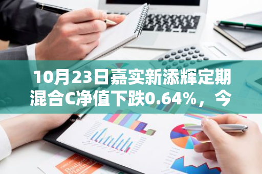 10月23日嘉实新添辉定期混合C净值下跌0.64%，今年来累计下跌0.17%