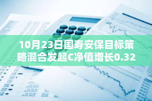 10月23日国寿安保目标策略混合发起C净值增长0.32%，近1个月累计上涨28.25%