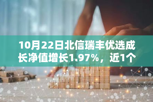 10月22日北信瑞丰优选成长净值增长1.97%，近1个月累计上涨28.21%