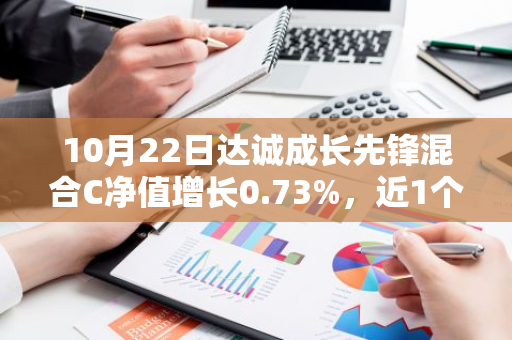 10月22日达诚成长先锋混合C净值增长0.73%，近1个月累计上涨11.17%