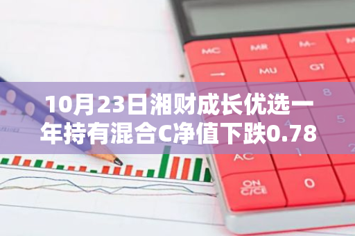 10月23日湘财成长优选一年持有混合C净值下跌0.78%，今年来累计上涨7.36%