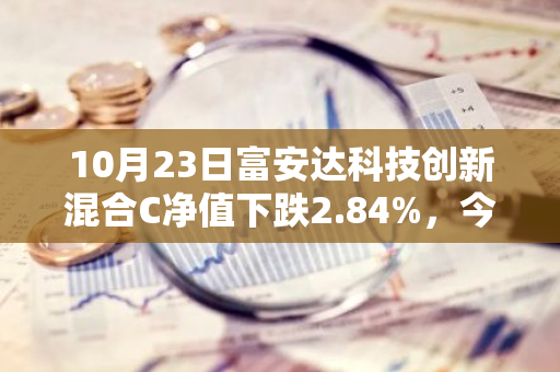 10月23日富安达科技创新混合C净值下跌2.84%，今年来累计上涨10.82%