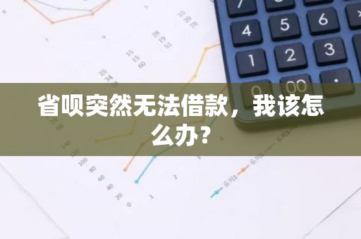 省呗突然无法借款，我该怎么办？