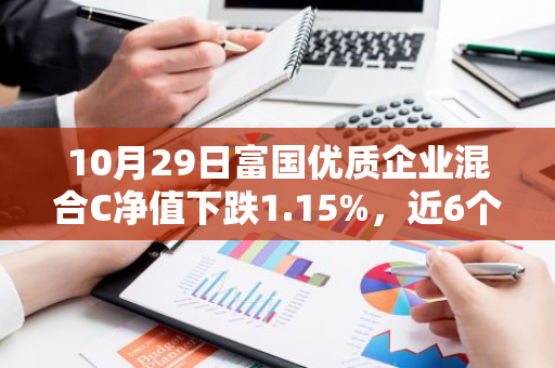 10月29日富国优质企业混合C净值下跌1.15%，近6个月累计下跌5.95%