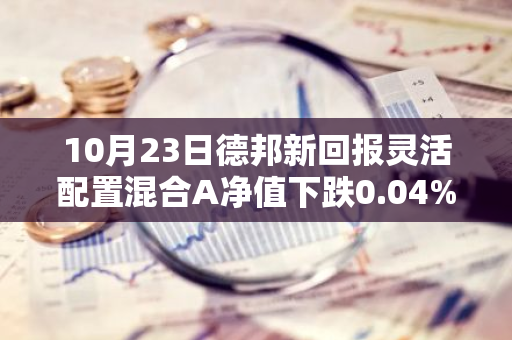 10月23日德邦新回报灵活配置混合A净值下跌0.04%，近6个月累计上涨11.12%