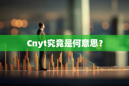 Cnyt究竟是何意思？