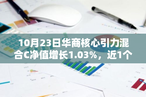 10月23日华商核心引力混合C净值增长1.03%，近1个月累计上涨29.93%