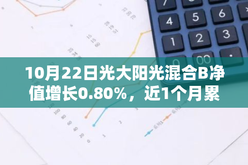 10月22日光大阳光混合B净值增长0.80%，近1个月累计上涨13.41%