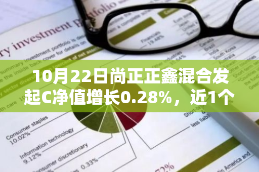 10月22日尚正正鑫混合发起C净值增长0.28%，近1个月累计上涨8.25%