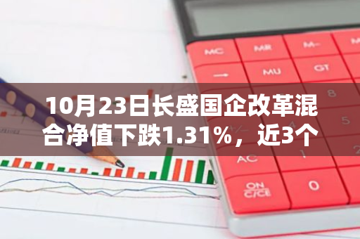 10月23日长盛国企改革混合净值下跌1.31%，近3个月累计上涨20.38%