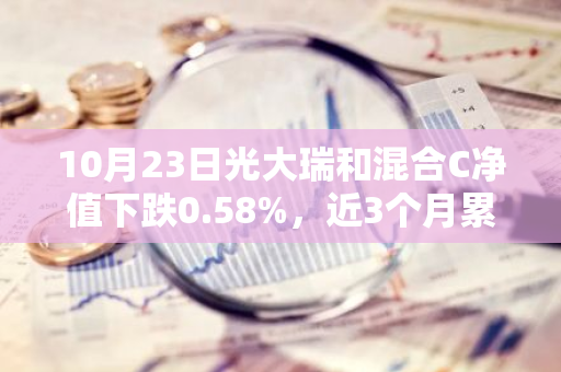 10月23日光大瑞和混合C净值下跌0.58%，近3个月累计上涨12.58%