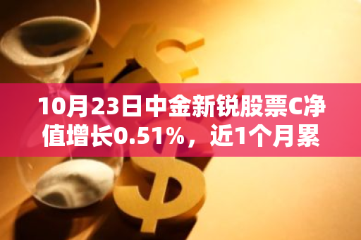 10月23日中金新锐股票C净值增长0.51%，近1个月累计上涨23.45%