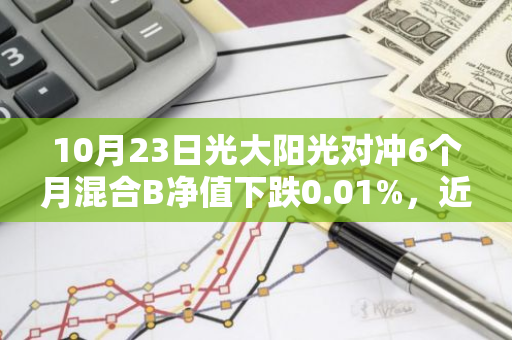 10月23日光大阳光对冲6个月混合B净值下跌0.01%，近6个月累计下跌0.77%