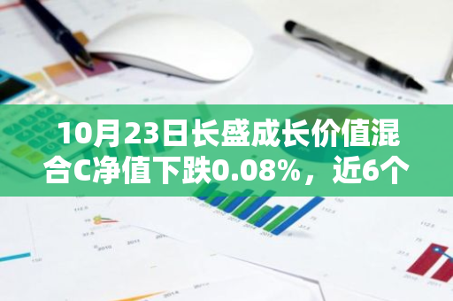 10月23日长盛成长价值混合C净值下跌0.08%，近6个月累计上涨2.11%