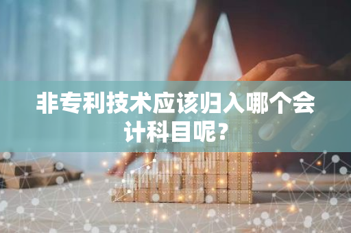 非专利技术应该归入哪个会计科目呢？