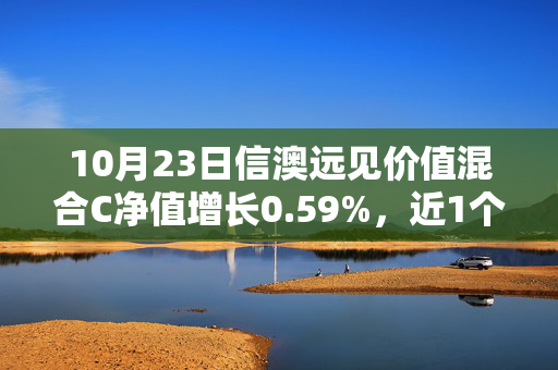 10月23日信澳远见价值混合C净值增长0.59%，近1个月累计上涨18.08%