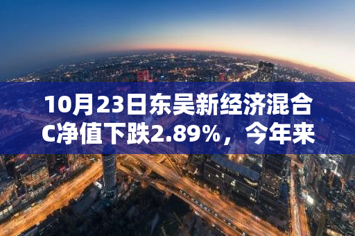 10月23日东吴新经济混合C净值下跌2.89%，今年来累计下跌0.24%