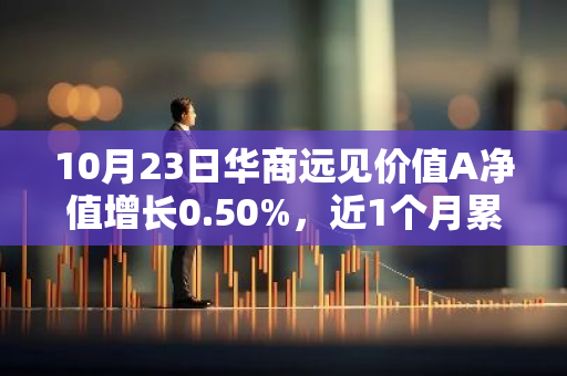 10月23日华商远见价值A净值增长0.50%，近1个月累计上涨37.3%