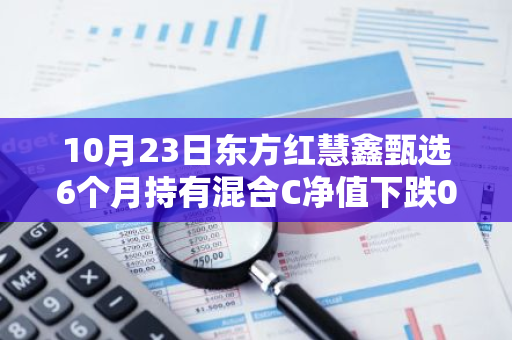 10月23日东方红慧鑫甄选6个月持有混合C净值下跌0.03%，近3个月累计上涨2.33%